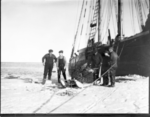 Image of Five men load sledge near the MORRISSEY